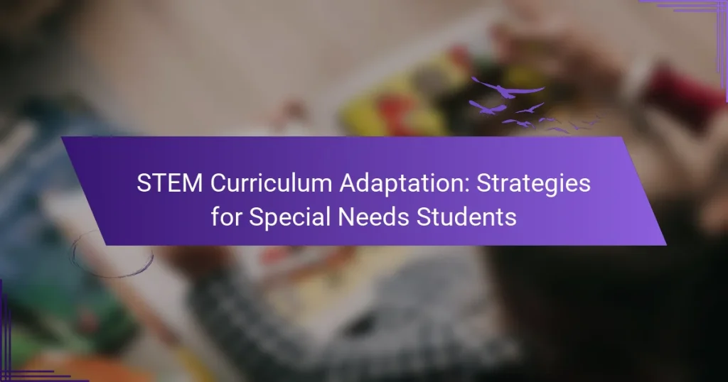 STEM Curriculum Adaptation: Strategies for Special Needs Students