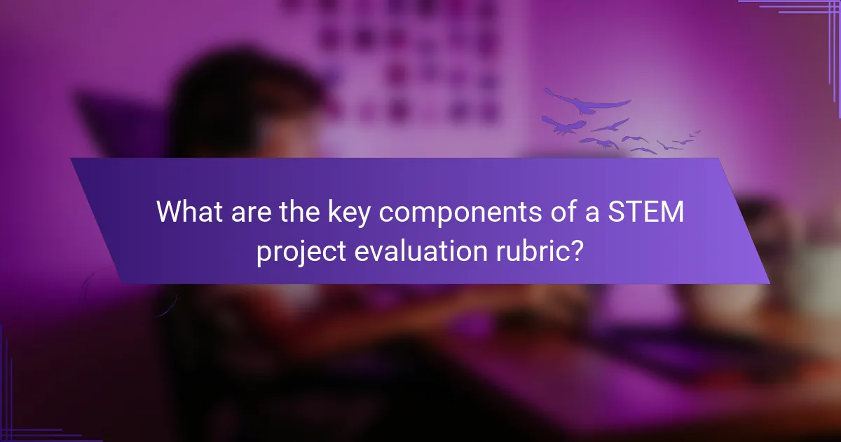 What are the key components of a STEM project evaluation rubric?